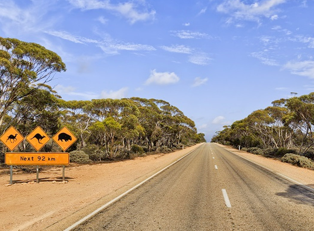 Australian road trip