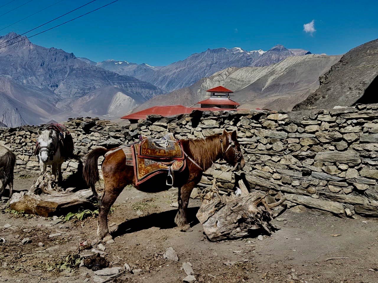 The Mustang Muktinath Nepal Ride